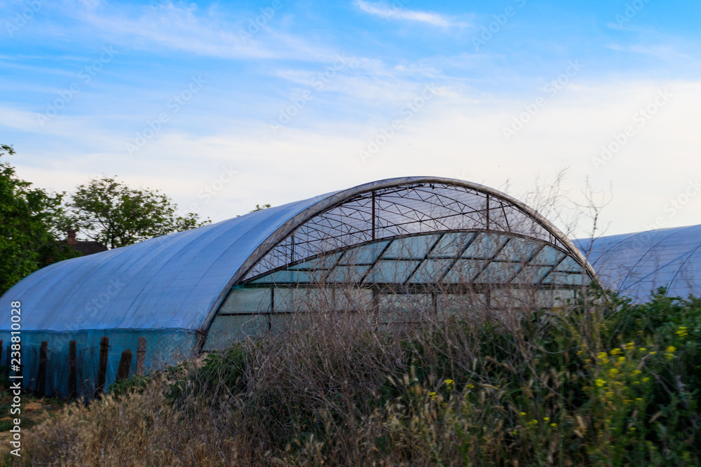Polythene tunnel as a plastic greenhouse for growing vegetables