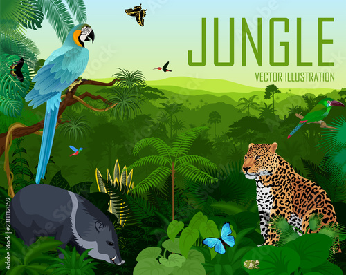 Vector brazil rainforest jungle forest with jaguar, parrot Blue Macaw ara, pig peccary, hummingbirds and butterflies