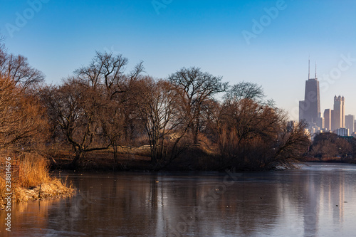 Bare Winter Trees along North Pond with the Chicago Skyline in Lincoln Park