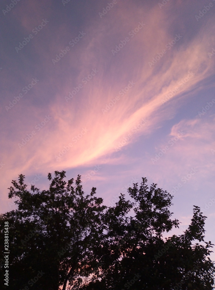 evening sky evening sky