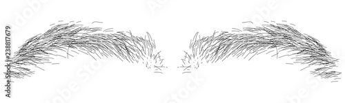 Vector ilustration of black eyebrow in transparent of white background