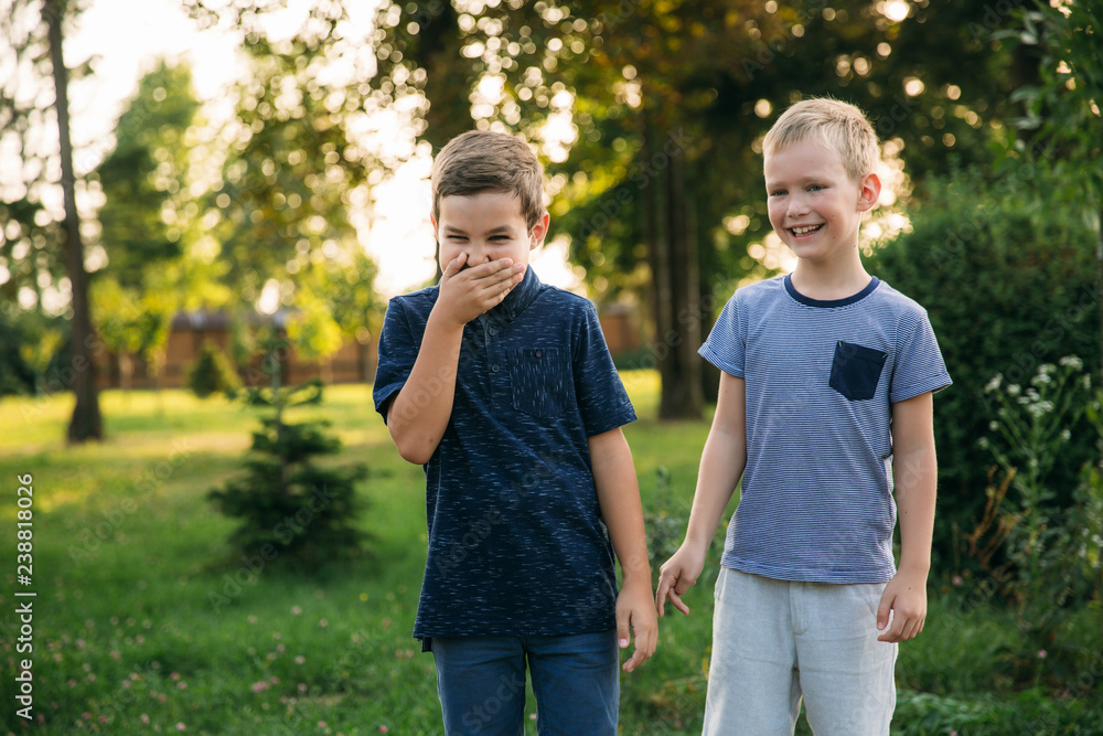 Two children boys friends walking in the park on a sunny summer day. Brothers Two children boys friends walking in the park on a sunny summer day. Brothers