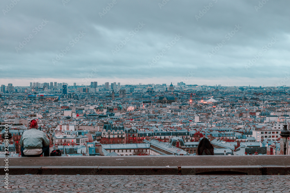 Obraz premium morning gloomy view of paris