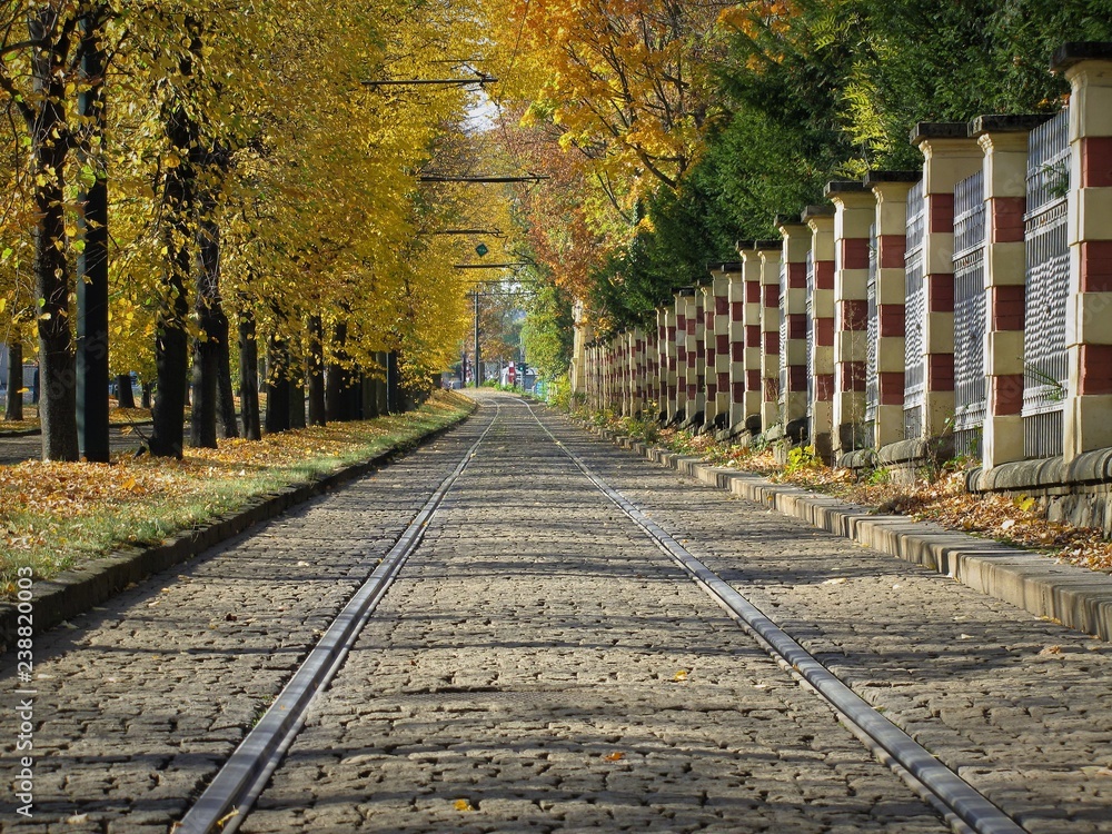 Fototapeta premium Schienen im Herbst