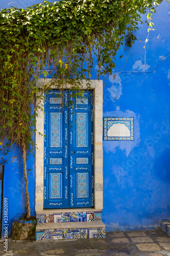 Decorated door of a traditional house in Tunisia