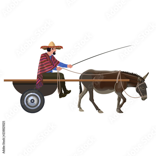 Man with in donkey cart
