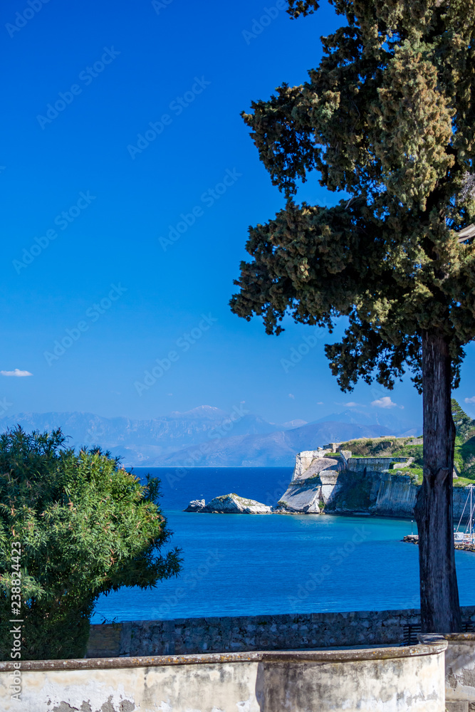 Fototapeta Scenery view, sunny spring day in Corfu, Kerkira island, Greece. Vertical blue landscape, with partial bush and tree in the front along the boardwalk. The end of the fort enters the frame.