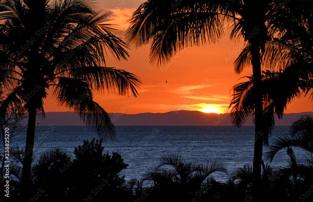 Paradise scene island view with sunset and palm trees overlooking peaceful bay.