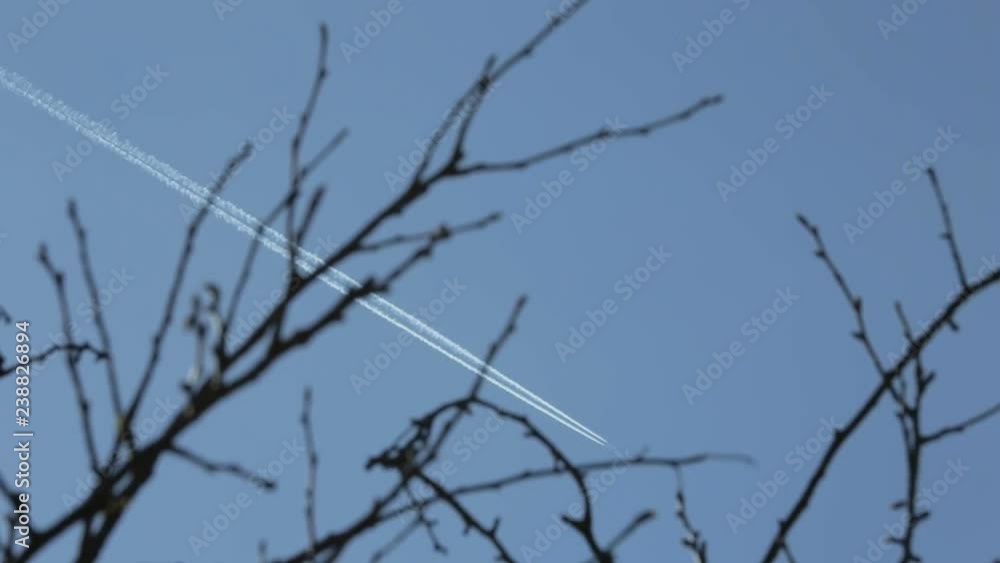View of an airplane track above top branches silhouettes. View of an airplane track above top branches silhouettes.