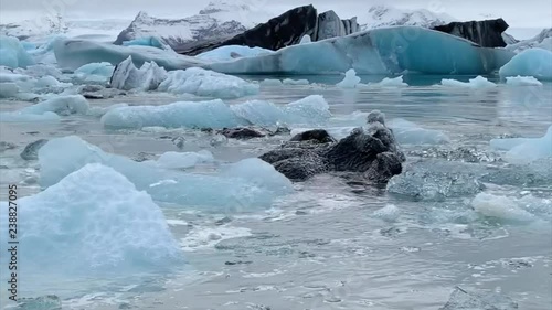 floating glacial ice chunks in Jokulsarlon Lagoon in Iceland photo