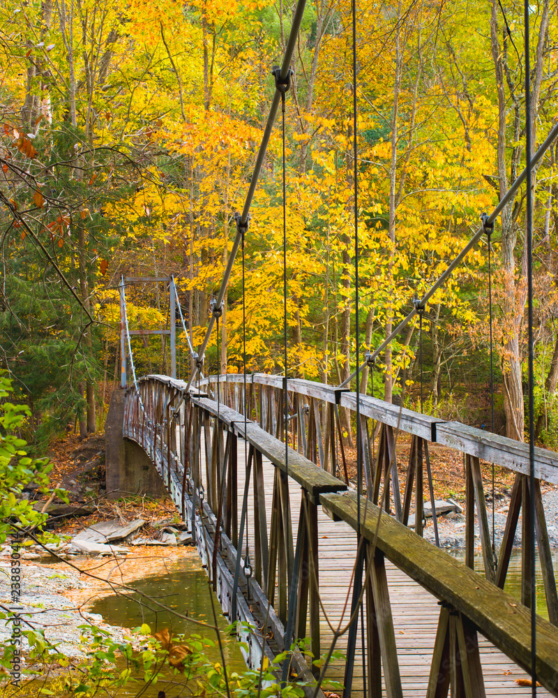 bridge over creek in autumn