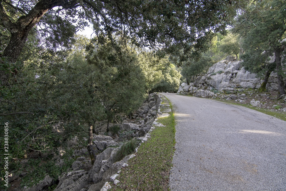 Curved asphalted road through rocky green evergreen forest Curved asphalted road through rocky green evergreen forest
