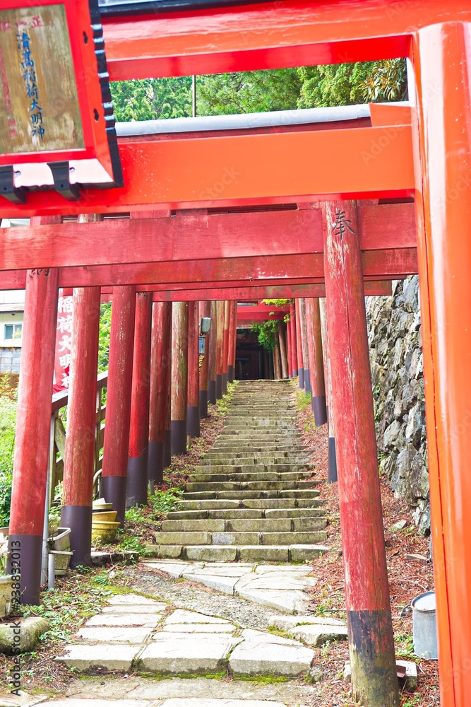 朱塗りの連なる鳥居