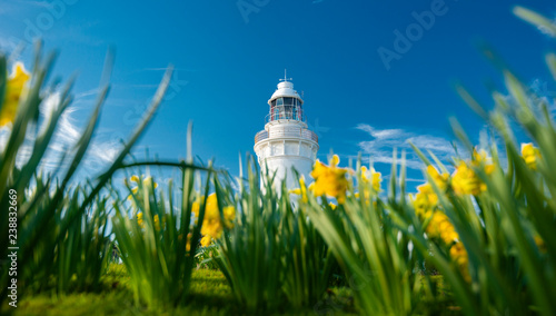 Bild auf Leinwand Beautiful Table Cape Lighthouse in Tasmania on a nice summers day