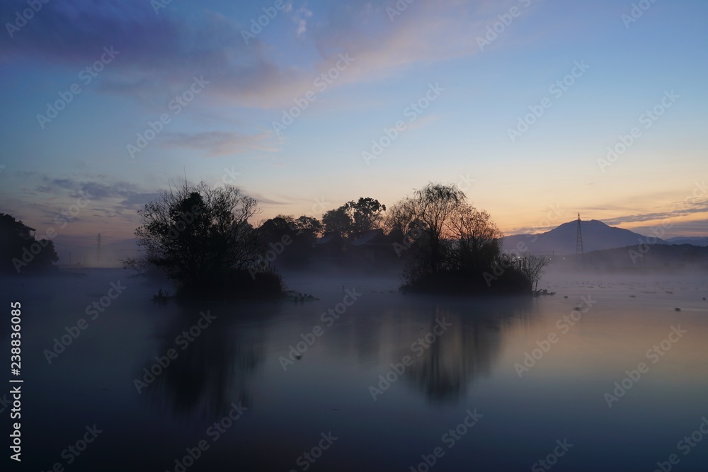 Obraz premium 朝靄と池の中に浮かぶ浮島公園の風景