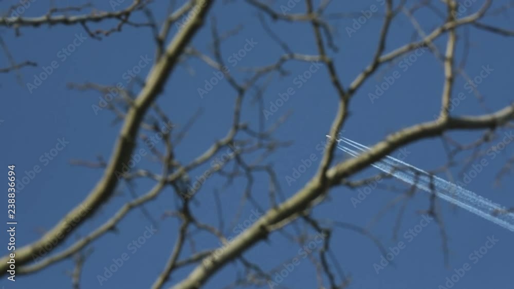 The plane in the blue sky among the trees. The plane in the blue sky among the trees.