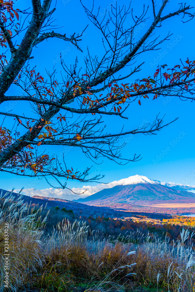Beautiful fuji mountain in yamanakako or yamanaka lake