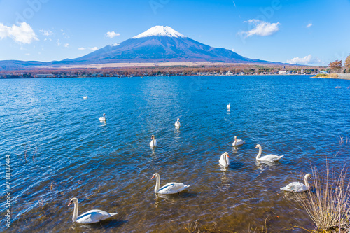 Beautiful landscape of mountain fuji around yamanakako lake photo