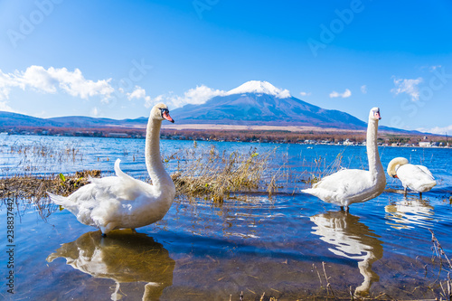 Beautiful landscape of mountain fuji around yamanakako lake