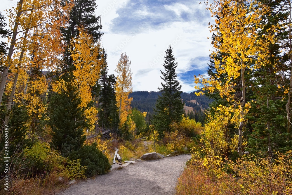 Naklejka premium Silver Lake by Solitude and Brighton Ski resort in Big Cottonwood Canyon. Panoramic Views from the hiking and boardwalk trails of the surrounding mountains, aspen and pine trees in brilliant fall autu