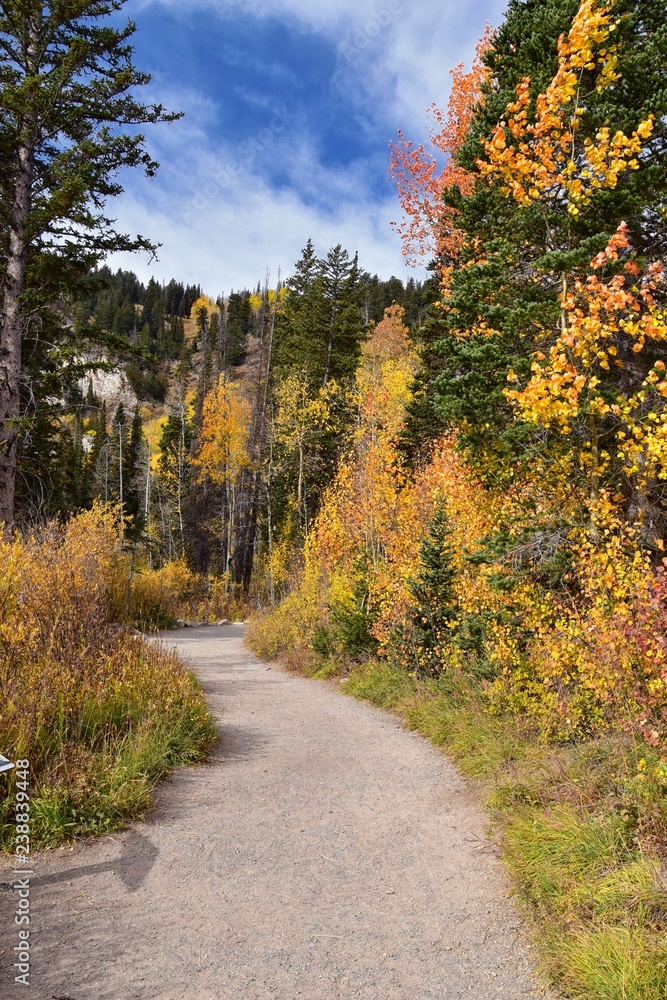 Silver Lake by Solitude and Brighton Ski resort in Big Cottonwood Canyon. Panoramic Views from the hiking and boardwalk trails of the surrounding mountains, aspen and pine trees in brilliant fall autu