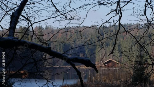 Time lapse shot, of a cabin, at a lake, shoot from behind branches, birds moving in the water, on a sunny winter day, at Hackensee, in Bavaria near Holzkirchen photo