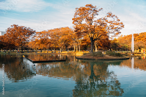 фотографія Autumn maple trees and lake at Yoyogi park in Tokyo, Japan