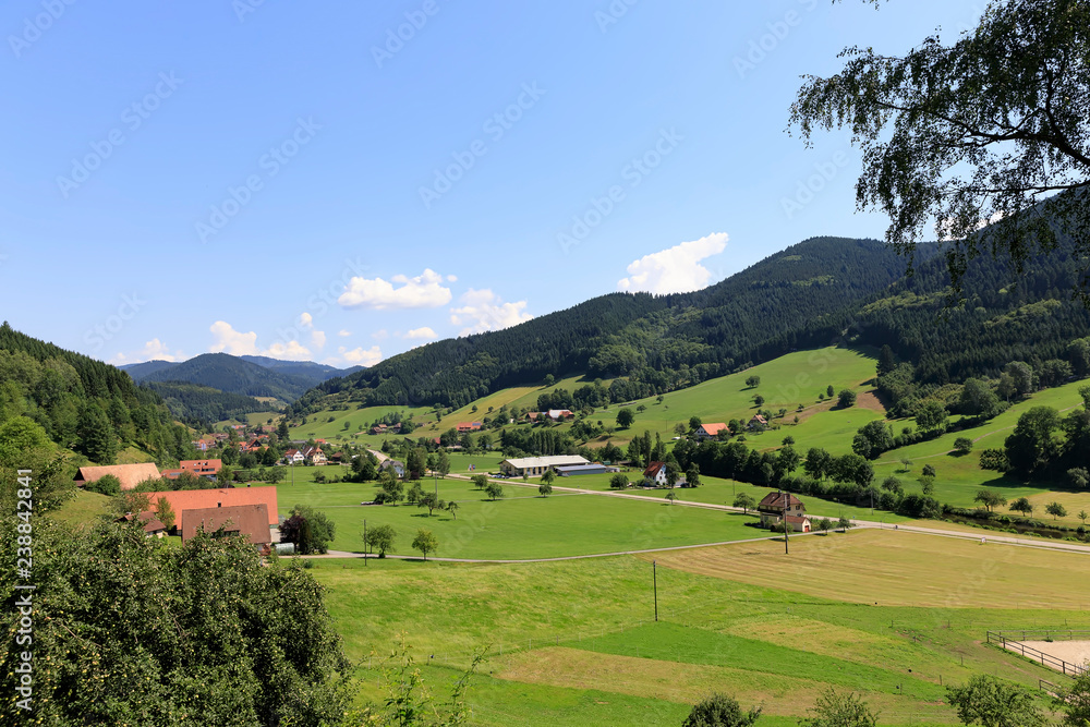 Village in the Black Forest, Germany