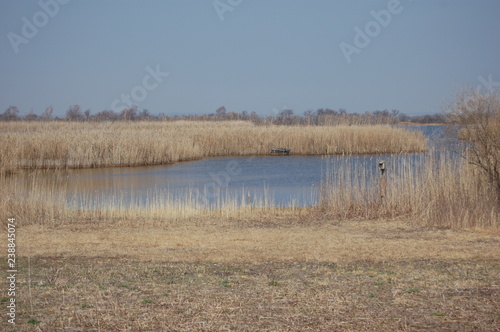 Canvas Print reeds in Jamaica Bay Wildlife Refuge, Queens, NY