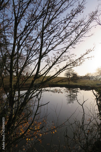 Fototapeta Naklejka Na Ścianę i Meble -  Reflections on lake of trees sunrise and sunset double image kings newnham rugby Warwickshire 