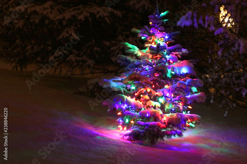 Winter night scene with glowing in the dark christmas tree decorated by colorful lights and covered by fresh snow. Seasonal winter holidays background, good for wallpaper, card, poster and banner.
