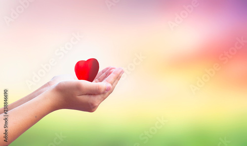 International Human Solidarity Day concept  hands holding red heart health insurance