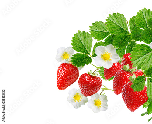 red raw strawberries on white