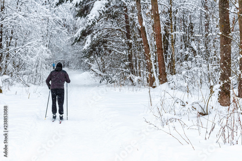 The young man skis in beautiful winter snow-covered pine forest