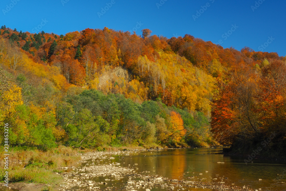Autumn in the San Valley. Otryt. Bieszczady Mountains.