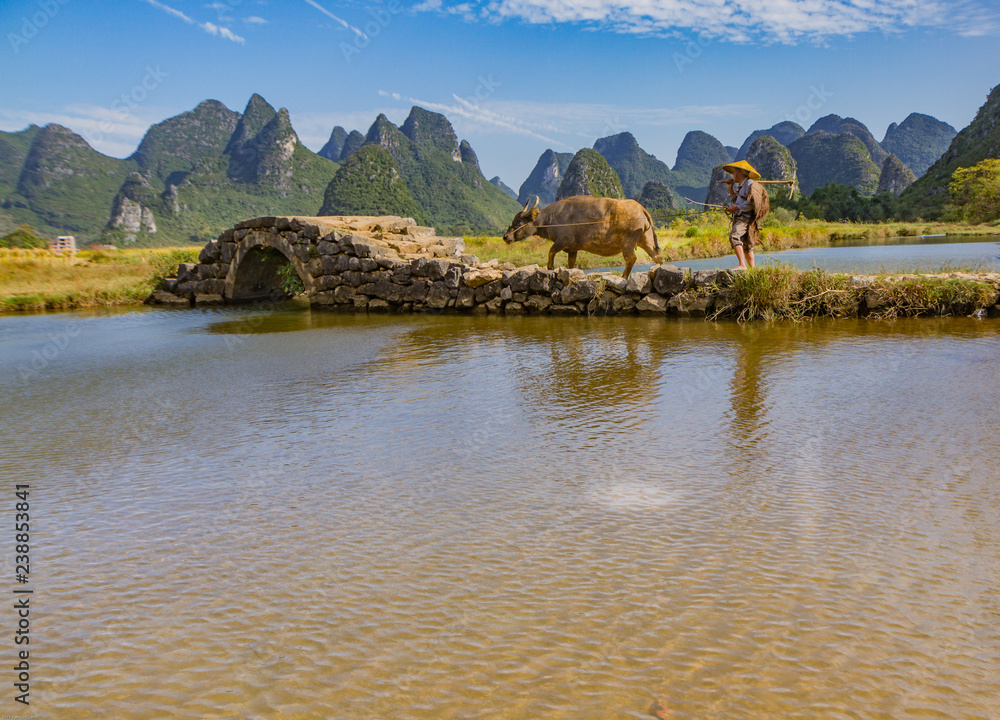 Chinese farmer with water buffalo on stone bridge in picturesque valley surrounded by karst limestone hills in Huixian, China.