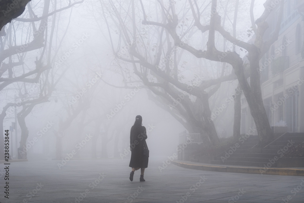 lushan mountain landscape of street in fog