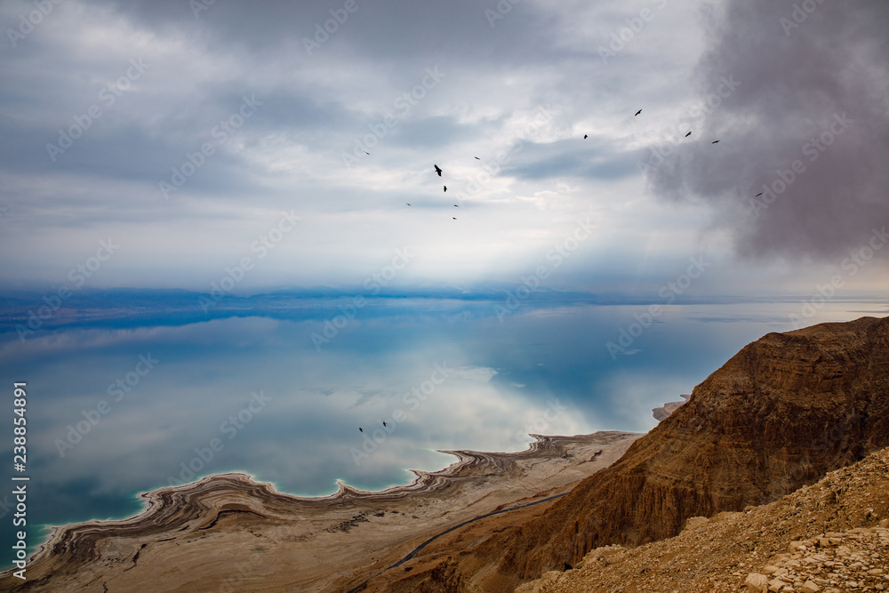 Crows over Dead Sea