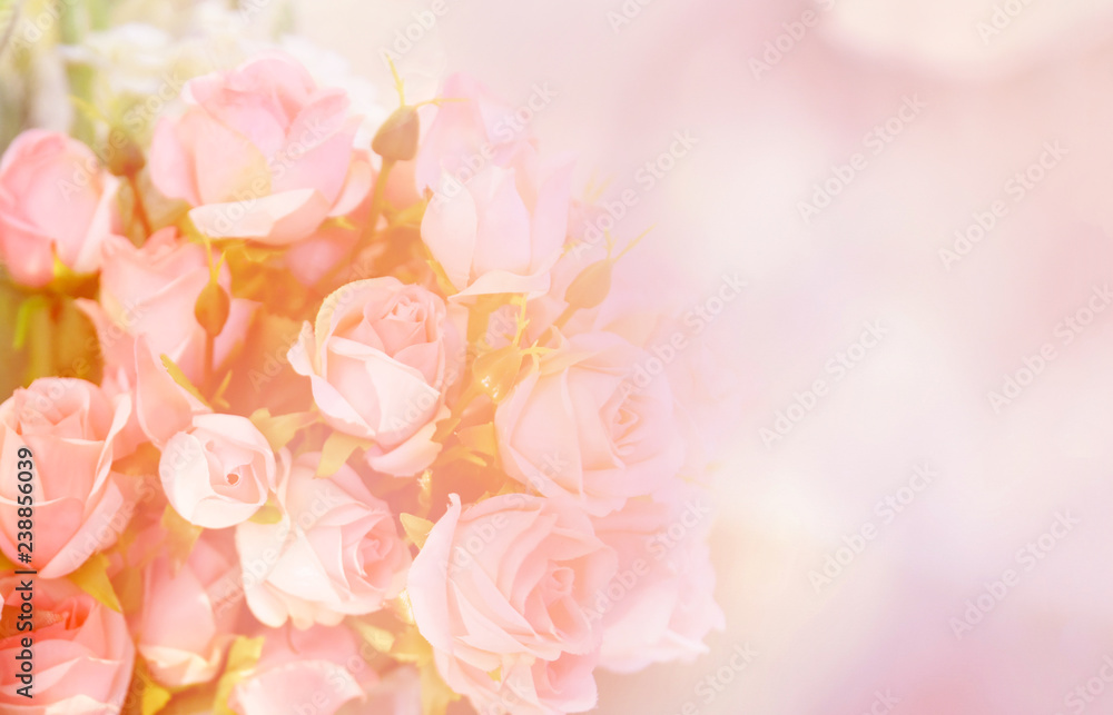 Obraz premium różowy kwiat róży / miękki kolor różowe róże bukiet kwiatów