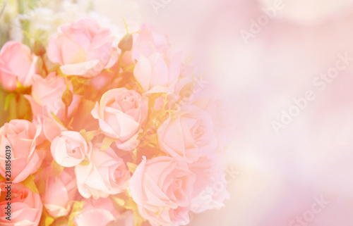 pink rose flower / soft color pink roses flower bouquet