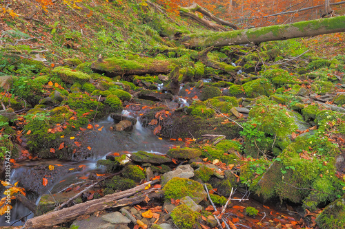 Fototapeta Naklejka Na Ścianę i Meble -  Mossy stones and felled trees in the Hulski stream. Bieszczady Mountains. Bieszczady National Park.