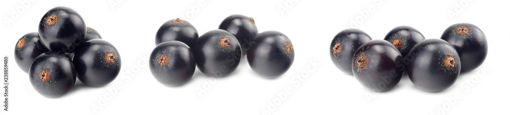 black currant isolated on white background. macro black currant isolated on white background. macro