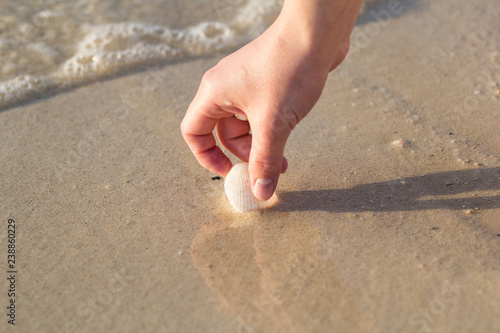 girl picks up a shell from the sand