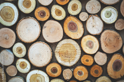 Wood texture. Pieces of sawn logs. Natural background.