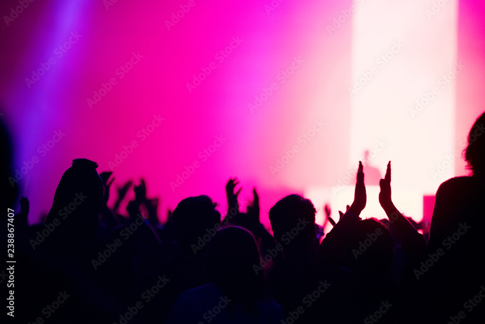 Crowd partying at concert