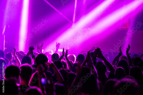 Crowd partying at concert