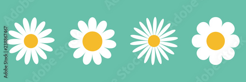 Camomile icon set. White daisy chamomile. Cute round flower plant collection. Growing concept. Love card symbol. Flat design. Green background. Isolated.