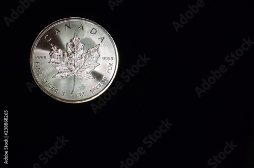 カナダの銀貨　メイプルリーフ © ungyo
