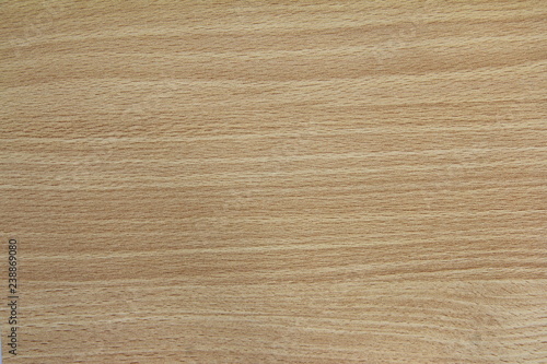 Wallpaper Mural Pattern of solid wood grain texture.Products from saw mill with timber or log to dimensional timber or veneer texture background. Torontodigital.ca