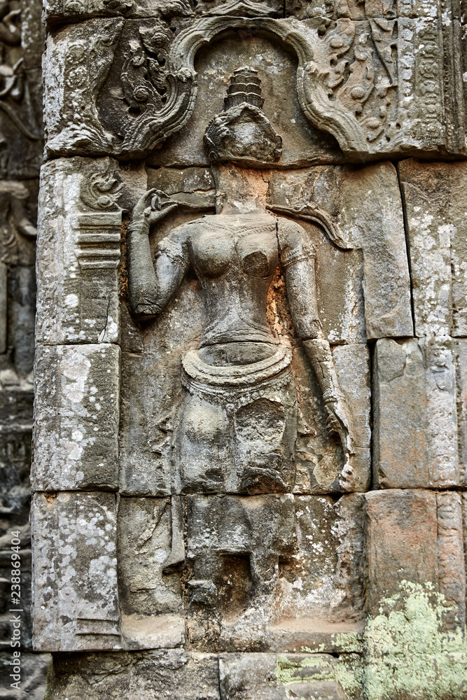 Ta Prohm historic site in Cambodia.